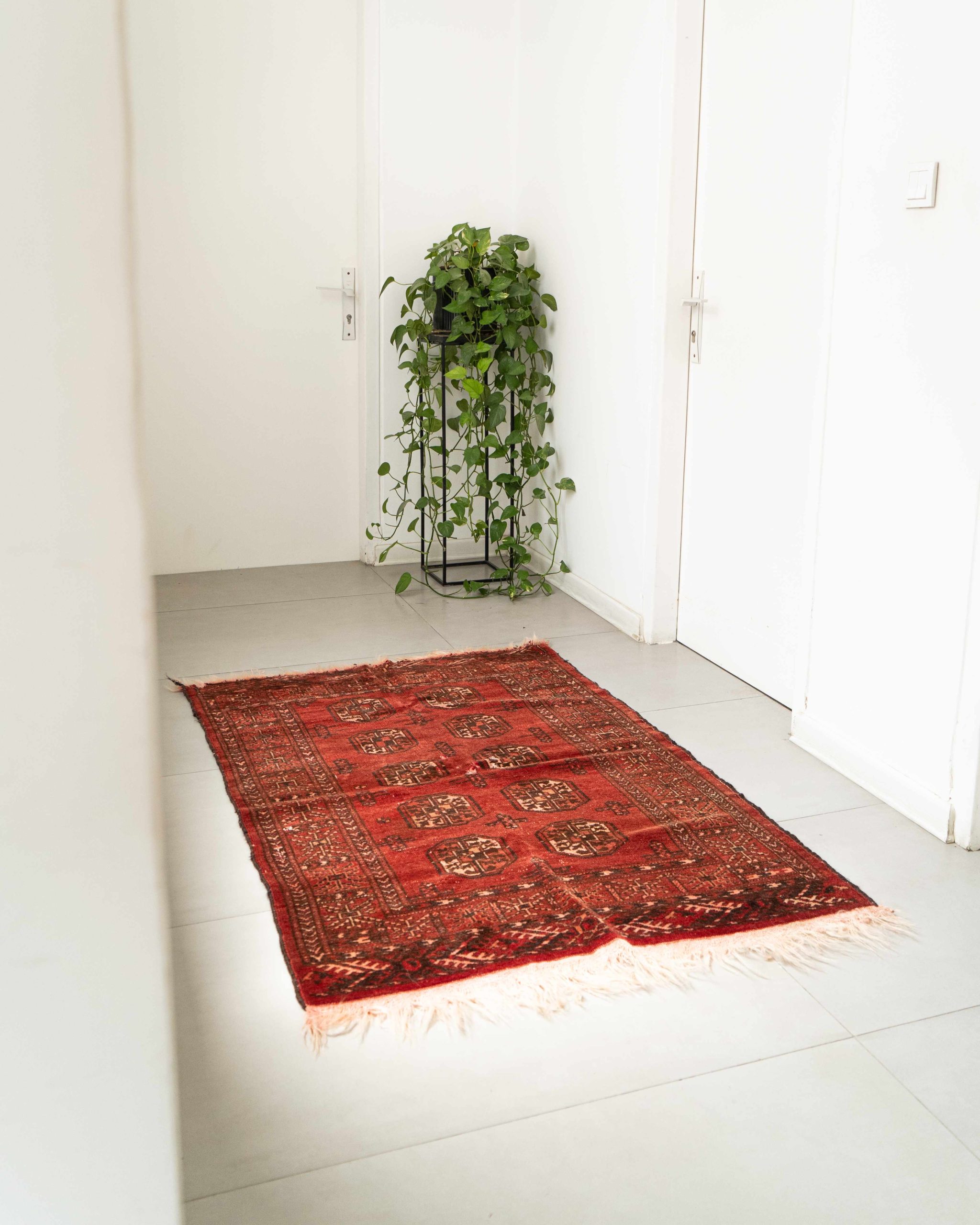 RAM03081_11zon