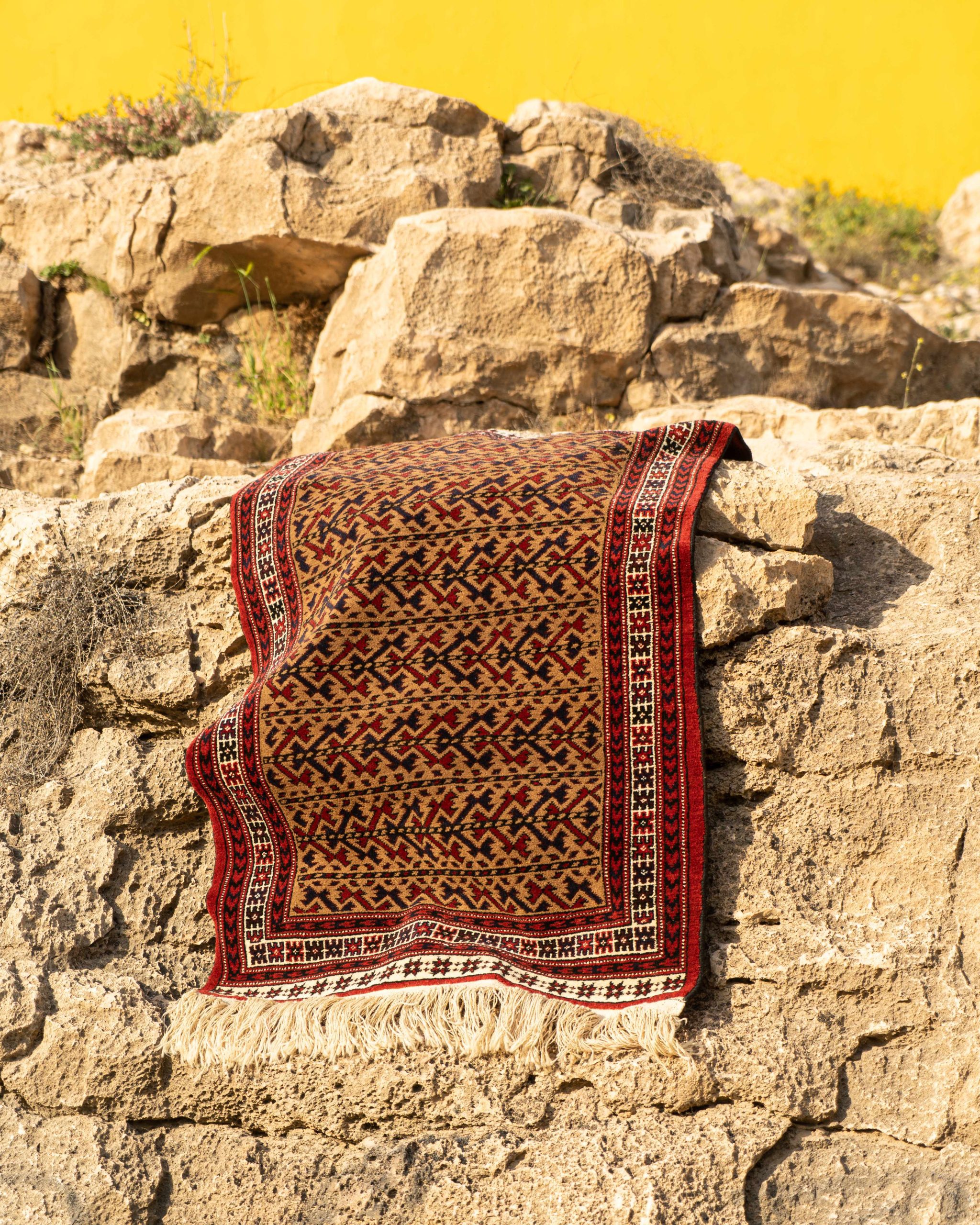 RAM02858_11zon