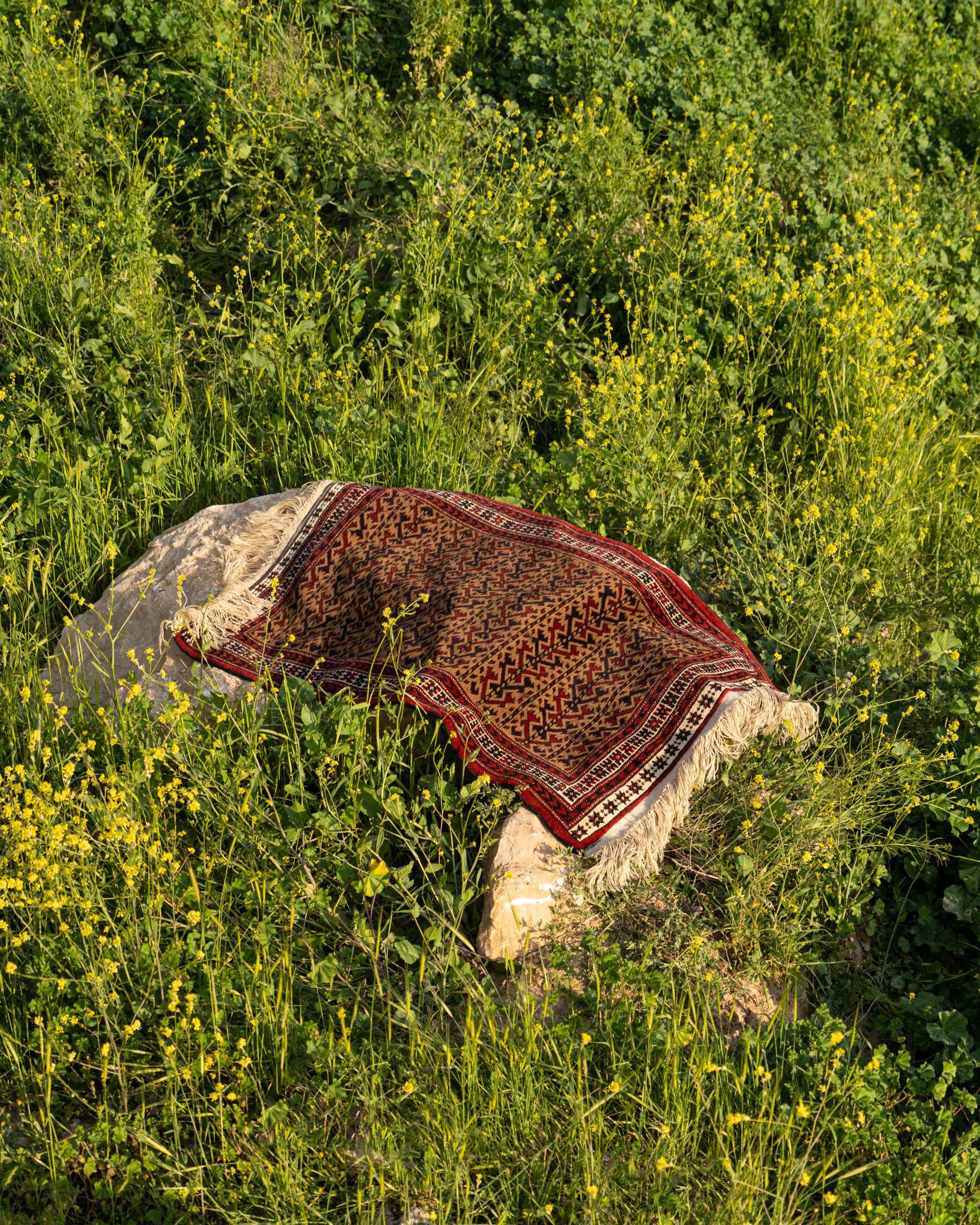 RAM02882_11zon
