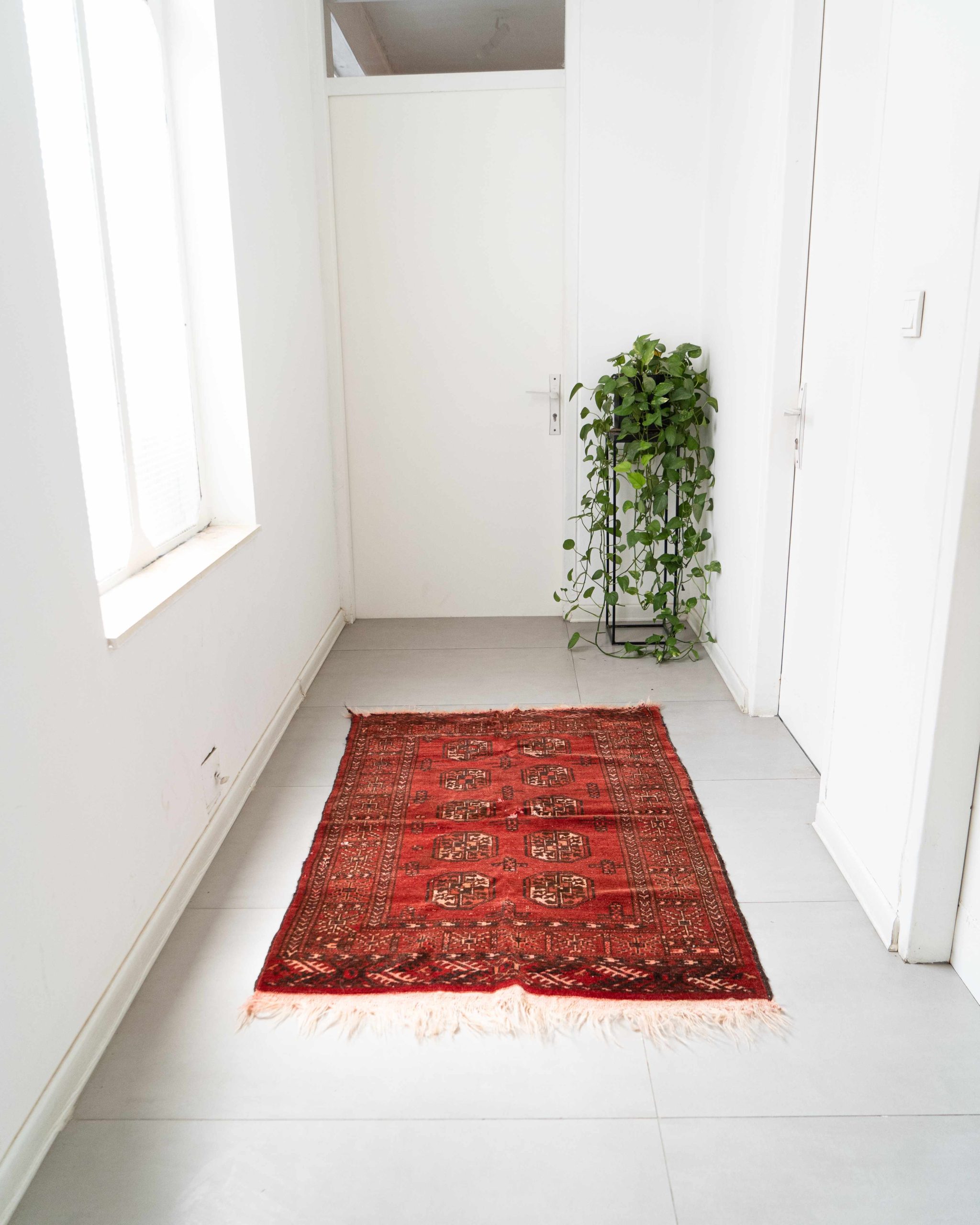 RAM03079_11zon